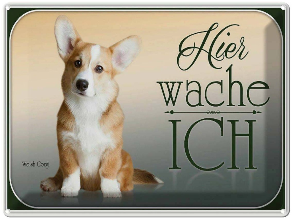 [LA-1791164] Blechschild 30x40 cm Hund Chihuahua hier wache ich