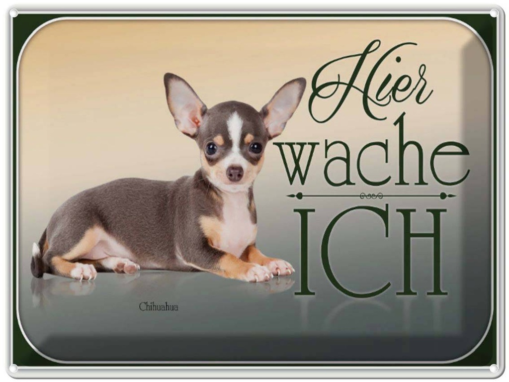 [LA-1791165] Blechschild 30x40 cm Hund Welsh Corgi hier wache ich