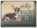Blechschild 30x40 cm Hund Welsh Corgi hier wache ich