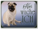 Blechschild 30x40 cm Hund Mops hier wache ich