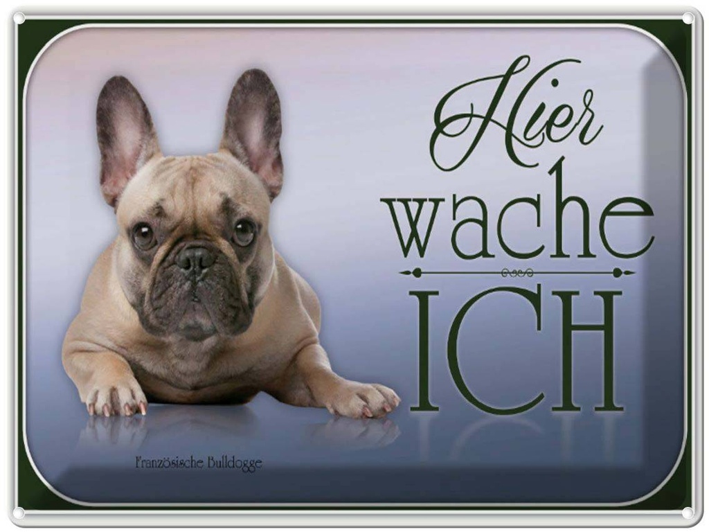 [LA-1791167] Blechschild 30x40 cm Hund Französische Bulldogge hier