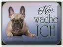 Blechschild 30x40 cm Hund Französische Bulldogge hier