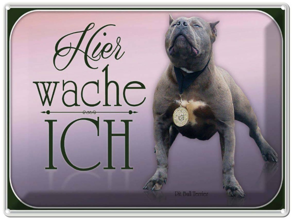 [LA-1791169] Blechschild 30x40 cm Hund Pit Bull Terrier hier wache ich