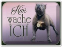 Blechschild 30x40 cm Hund Pit Bull Terrier hier wache ich