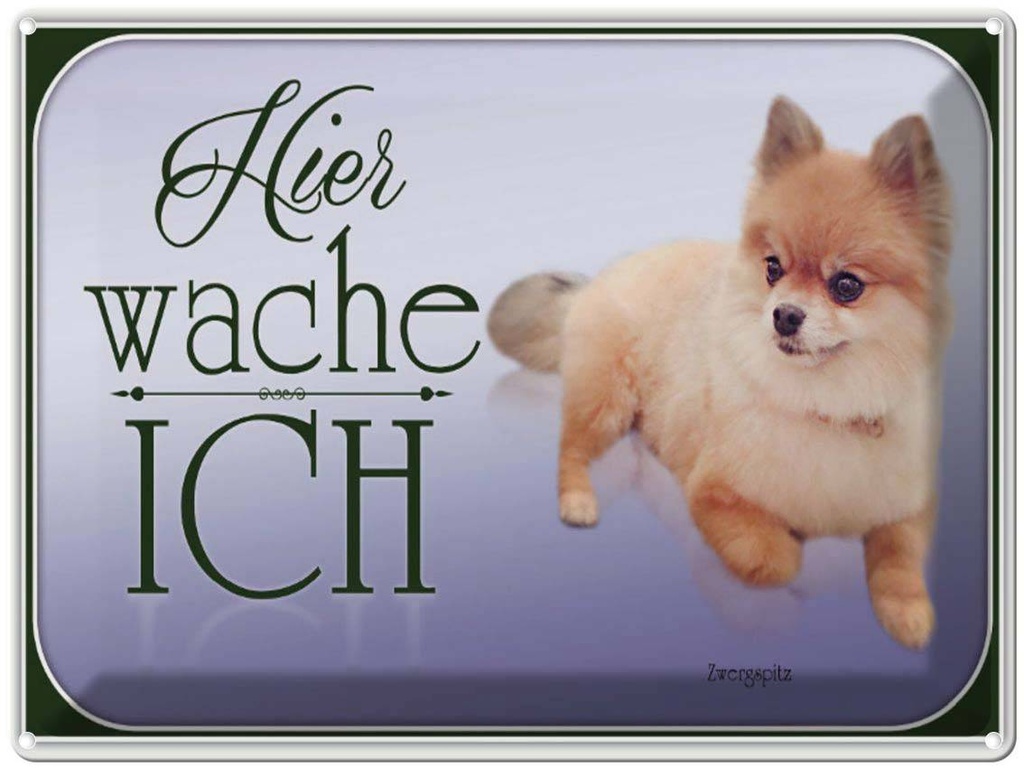 [LA-1791171] Blechschild 30x40 cm Hund Zwergspitz hier wache ich
