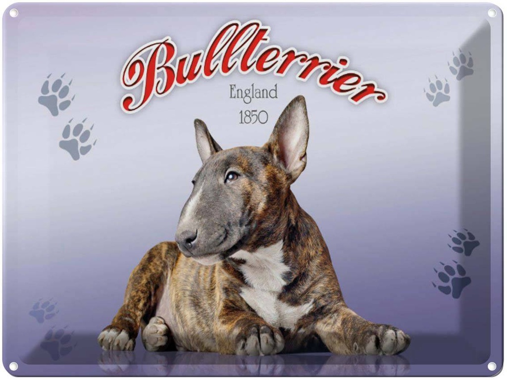 Blechschild 30x40 cm Hund Bullterrier England 1850