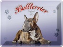 Blechschild 30x40 cm Hund Bullterrier England 1850