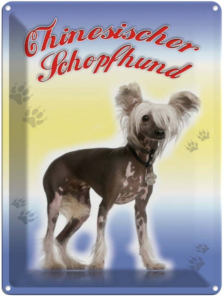 [LA-1791173] Blechschild 40x30 cm Hund Chinesischer Schopfhund