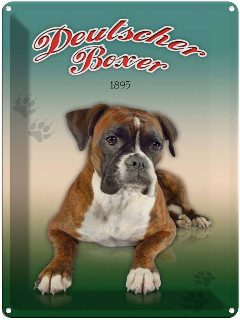 Blechschild 40x30 cm Hund Deutscher Boxer 1895