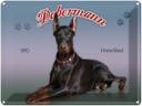 Blechschild 30x40 cm Hund Dobermann 1850 Deutschland