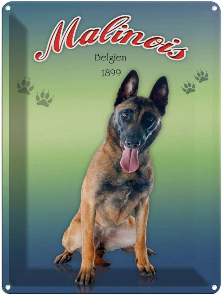 [LA-1791181] Blechschild 40x30 cm Hund Malinois Belgien 1899
