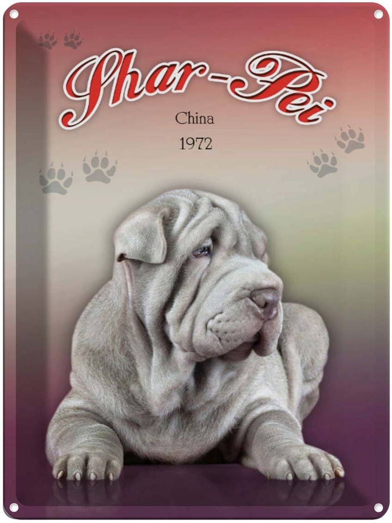 [LA-1791186] Blechschild 40x30 cm Hund Shar-Pei China 1972