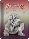 Blechschild 40x30 cm Hund Shar-Pei China 1972