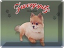 Blechschild 30x40 cm Hund Zwergspitz Deutschland