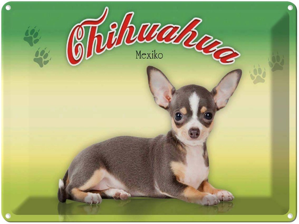 [LA-1791189] Blechschild 30x40 cm Hund Chihuahua Mexiko