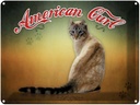 Blechschild 30x40 cm Katze American Curl