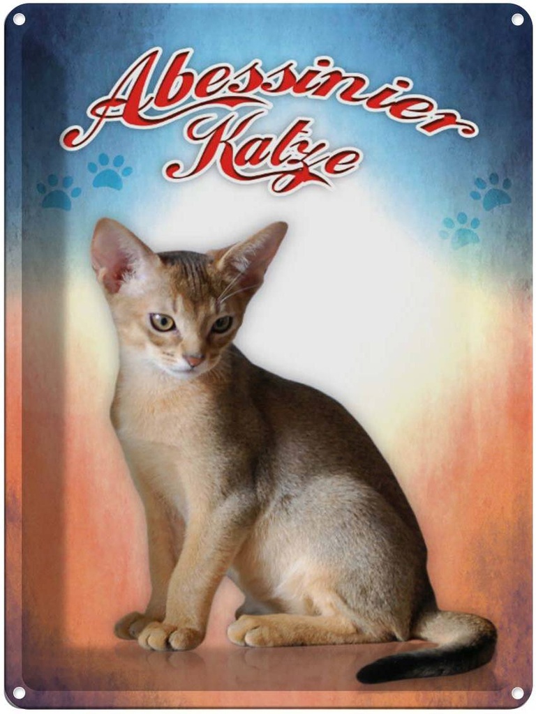 [LA-1791191] Blechschild 40x30 cm Katze Abessinier