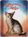Blechschild 40x30 cm Katze Abessinier