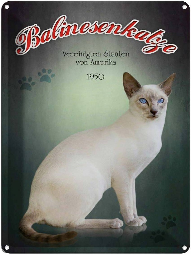 [LA-1791193] Blechschild 40x30 cm Katze Balinesenkatze Amerika 1950 USA