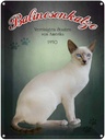 Blechschild 40x30 cm Katze Balinesenkatze Amerika 1950 USA