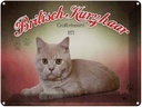 Blechschild 30x40 cm Katze British Kurzhaar Großbritannien