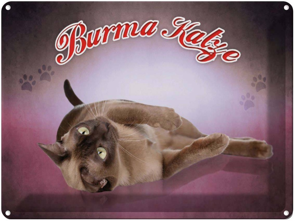 [LA-1791197] Blechschild 30x40 cm Katze Burma