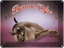 Blechschild 30x40 cm Katze Burma
