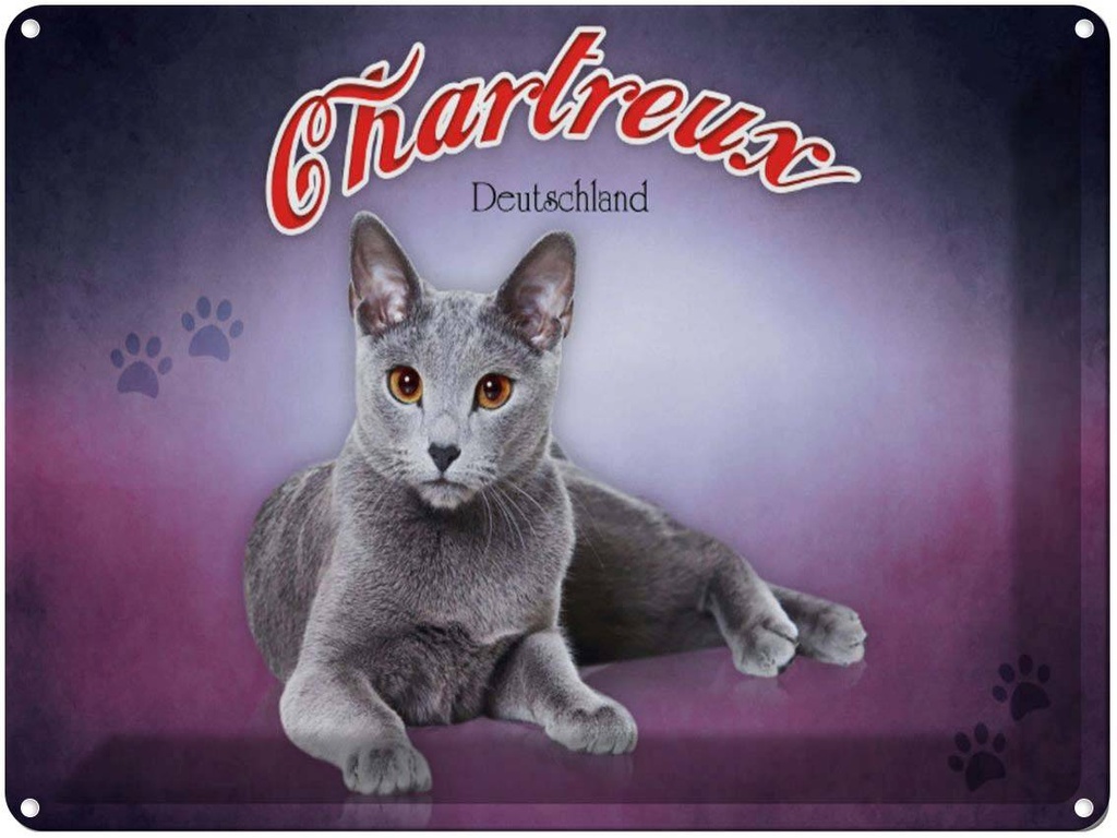 Blechschild 30x40 cm Katze Chartreux Deutschland