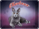 Blechschild 30x40 cm Katze Chartreux Deutschland