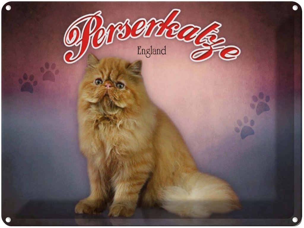[LA-1791201] Blechschild 30x40 cm Katze Perserkatze England