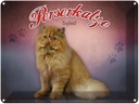 Blechschild 30x40 cm Katze Perserkatze England