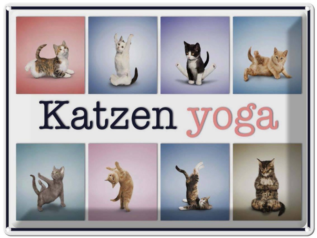 [LA-1791204] Blechschild 30x40 cm Katze Katzen Yoga