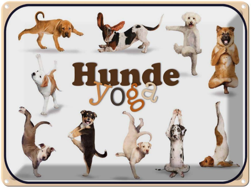 [LA-1791205] Blechschild 30x40 cm Katze Hunde Yoga