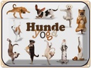 Blechschild 30x40 cm Katze Hunde Yoga