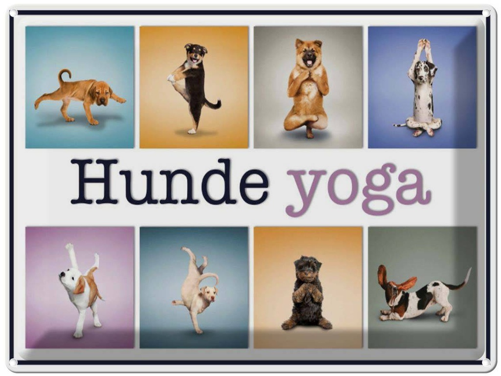 [LA-1791206] Blechschild 30x40 cm Katze Hunde Yoga