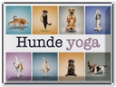 Blechschild 30x40 cm Katze Hunde Yoga