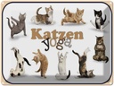 Blechschild 30x40 cm Katze Katzen Yoga