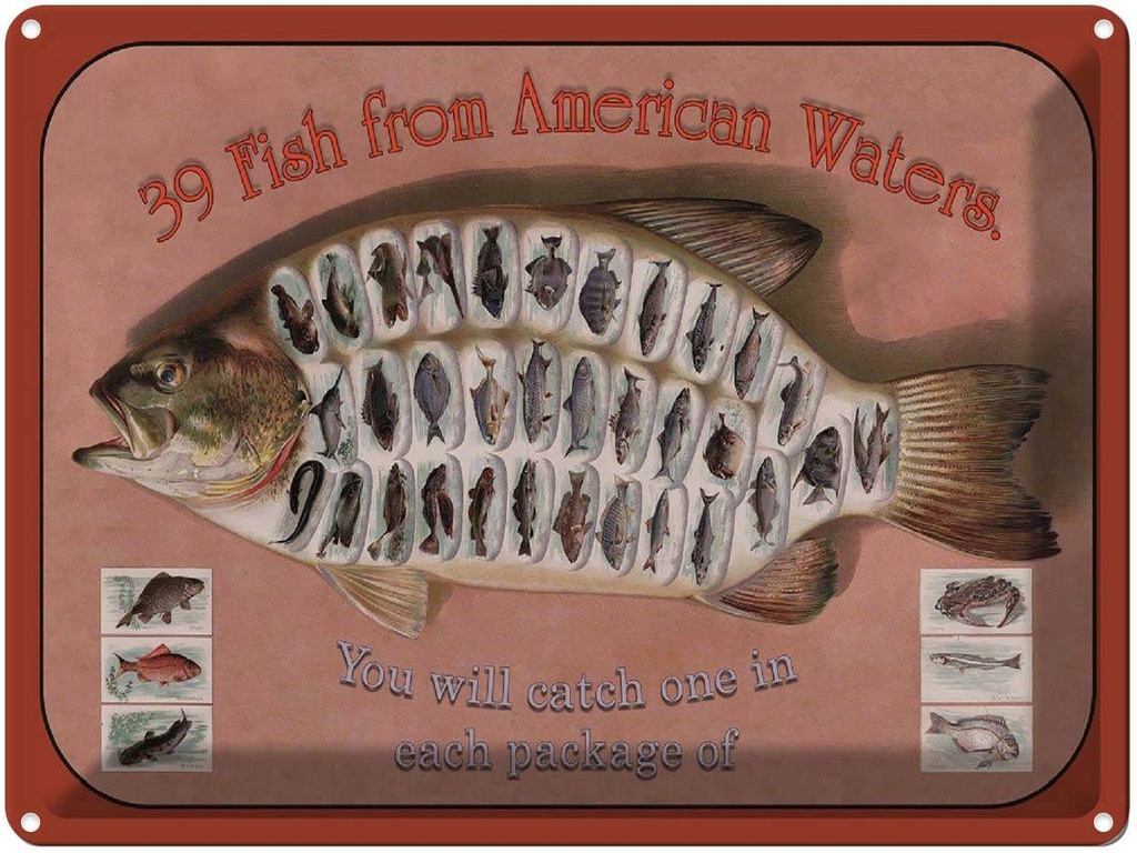 Blechschild 30x40 cm Fisch 39 Fish from american Waters