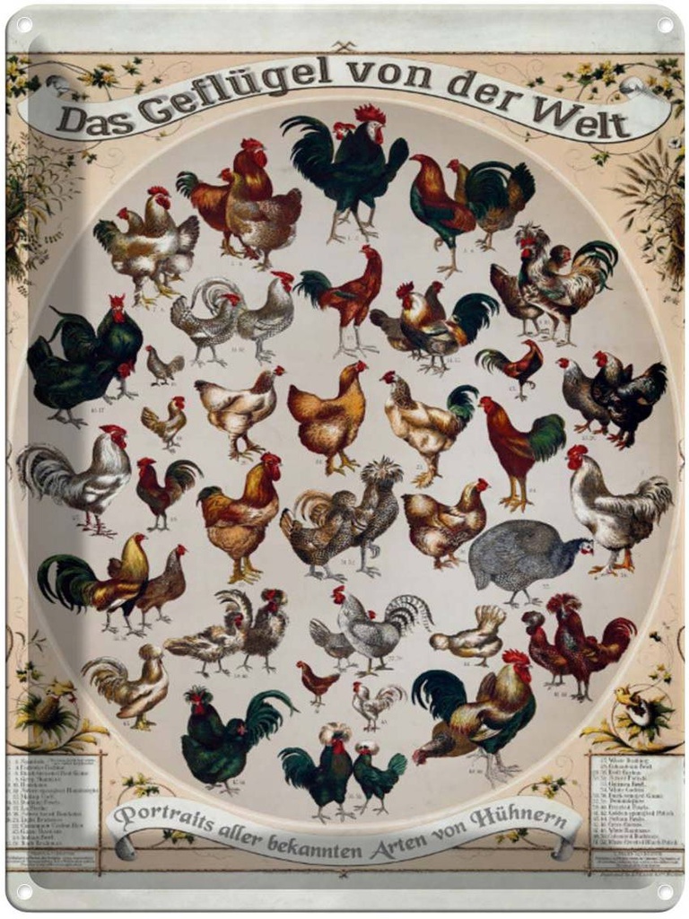 [LA-1791210] Blechschild 40x30 cm Geflügelart das Geflügel von der Welt