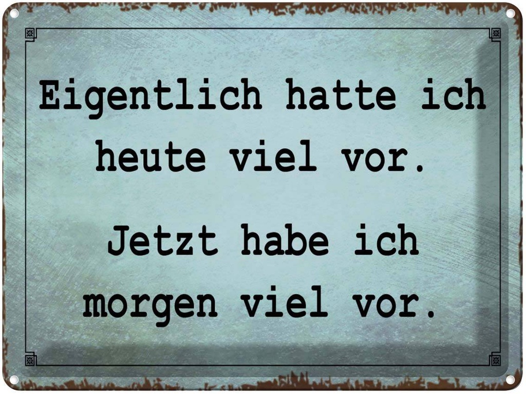 [LA-1791225] Blechschild 30x40 cm eigentlich hatte ich viel vor Spruch Zitat