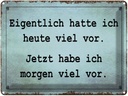 Blechschild 30x40 cm eigentlich hatte ich viel vor Spruch Zitat