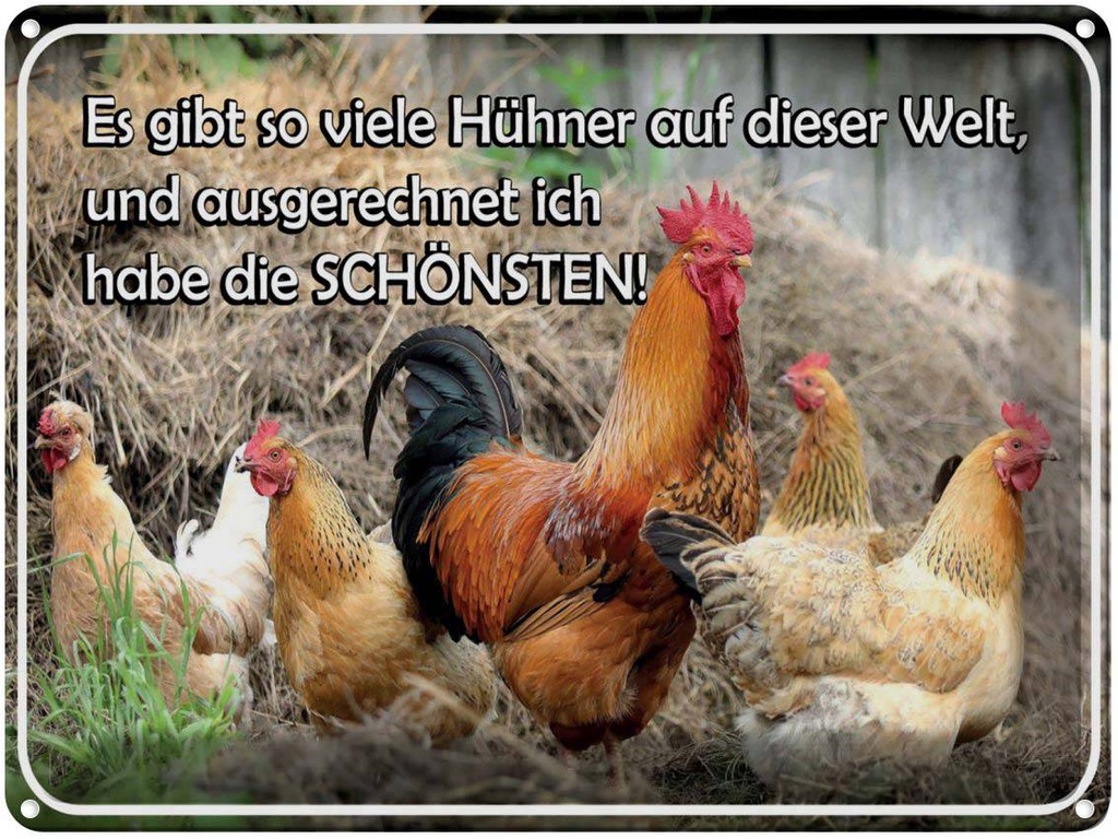 [LA-1791229] Blechschild 30x40 cm es gibt so viele Hühner und Spruch Zitat