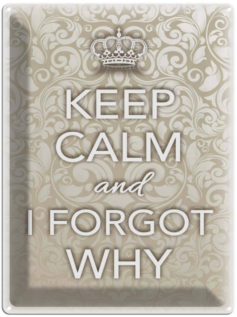 Blechschild 40x30 cm Keep Calm and i forgot why