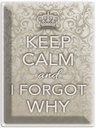 Blechschild 40x30 cm Keep Calm and i forgot why