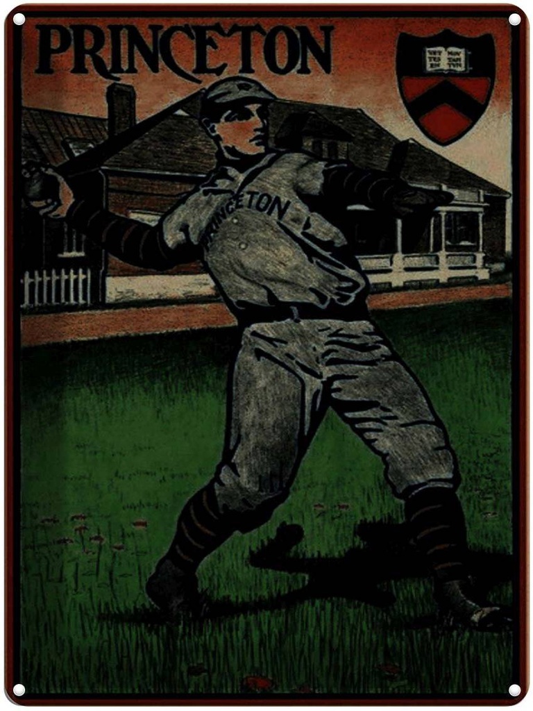 Blechschild 40x30 cm Retro Princeton Baseball