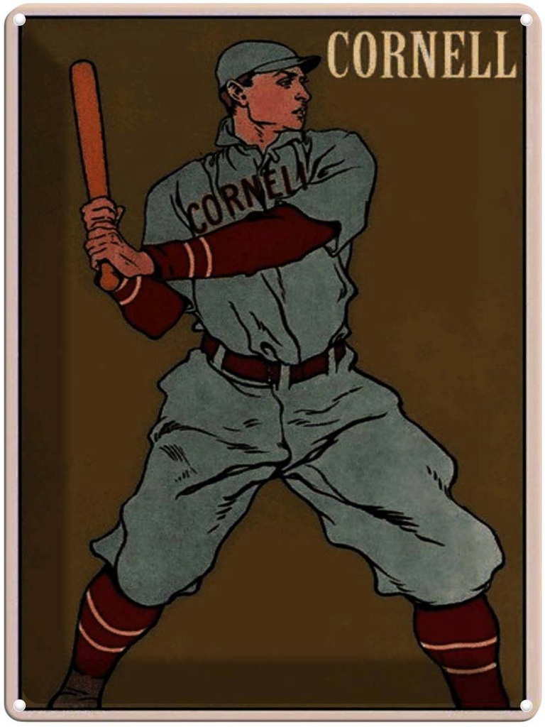 Blechschild 40x30 cm Retro Cornell Baseball Schlagmann