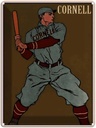 Blechschild 40x30 cm Retro Cornell Baseball Schlagmann