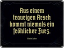 Blechschild 30x40 cm aus einem traurigen Arsch kommt Spruch Zitat