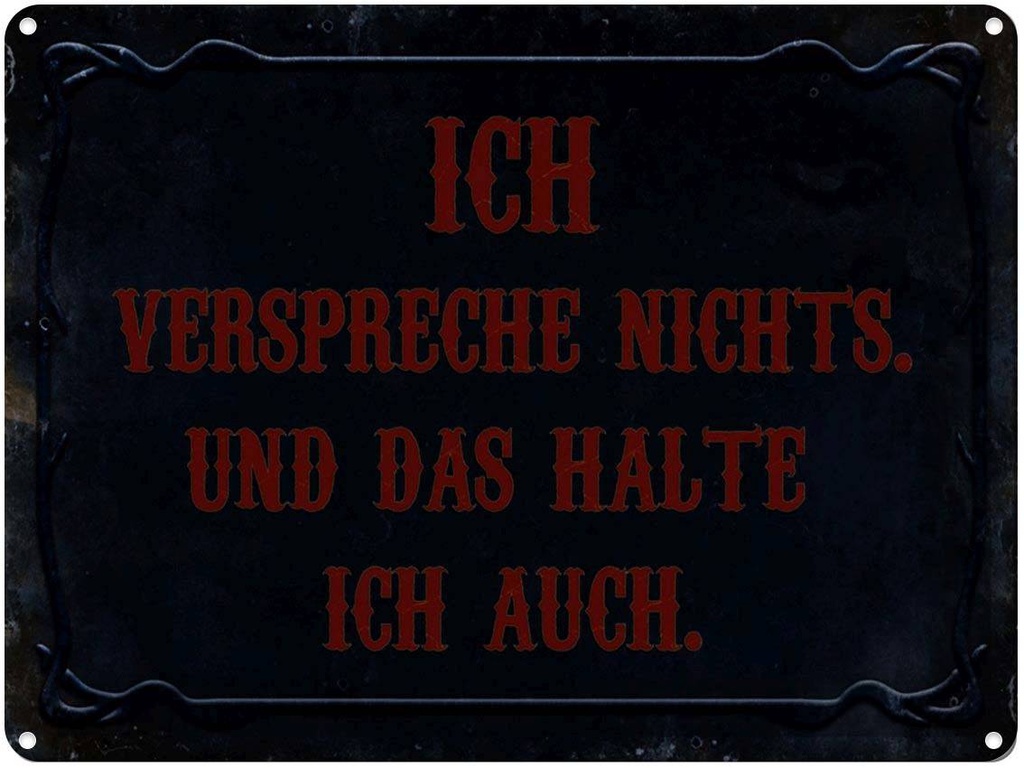 [LA-1791391] Blechschild 30x40 cm verspreche nichts das halte auch Spruch Zitat