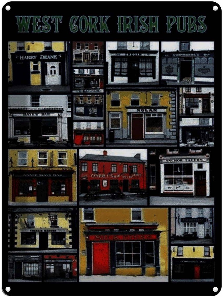 Blechschild 40x30 cm Alkohol West Cork irish pubs